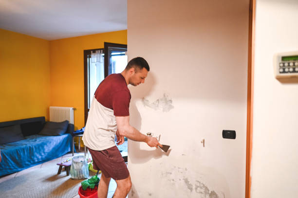 Best Attic Mold Remediation in Mount Plymouth, FL